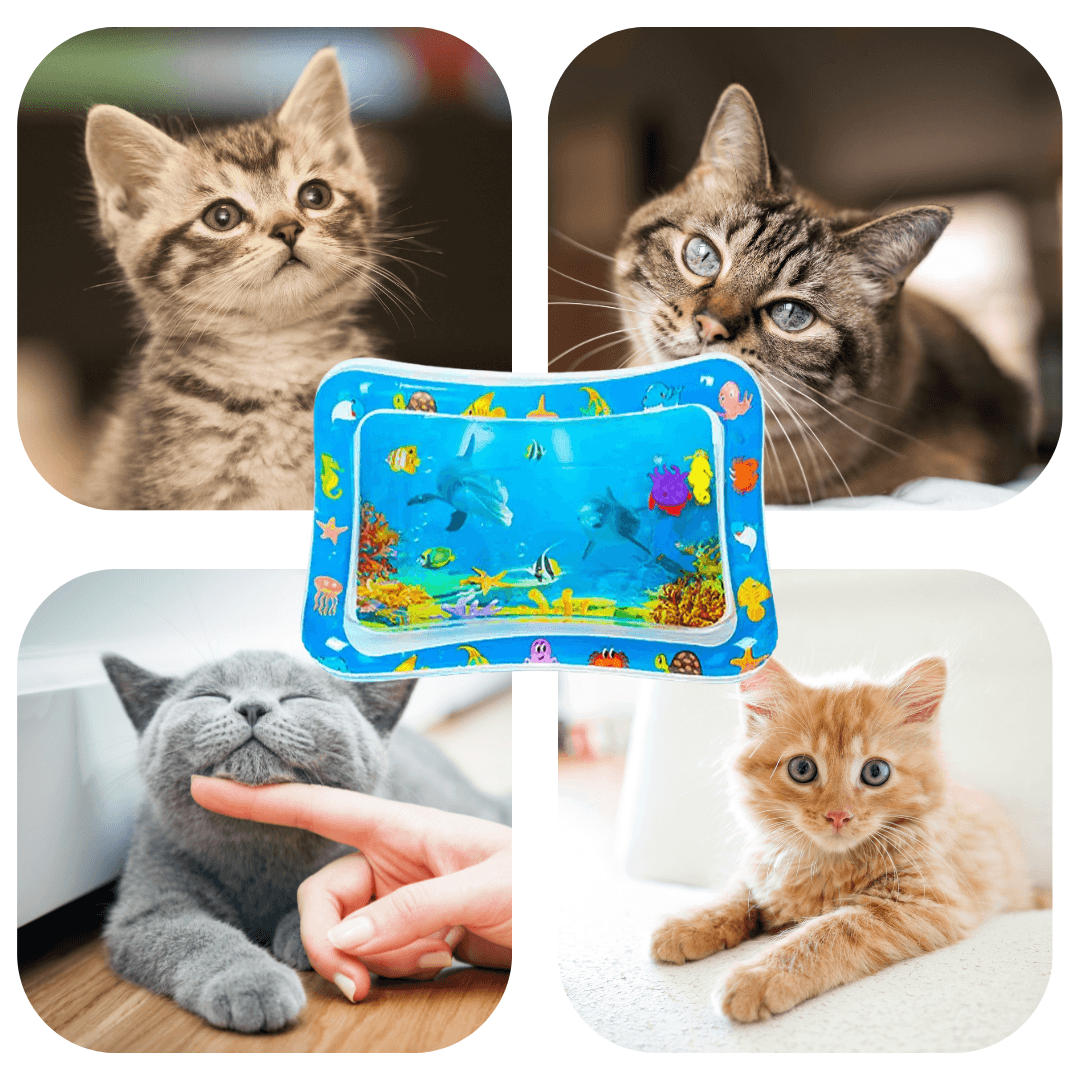 AquaCool - mata chłodząca dla kotka