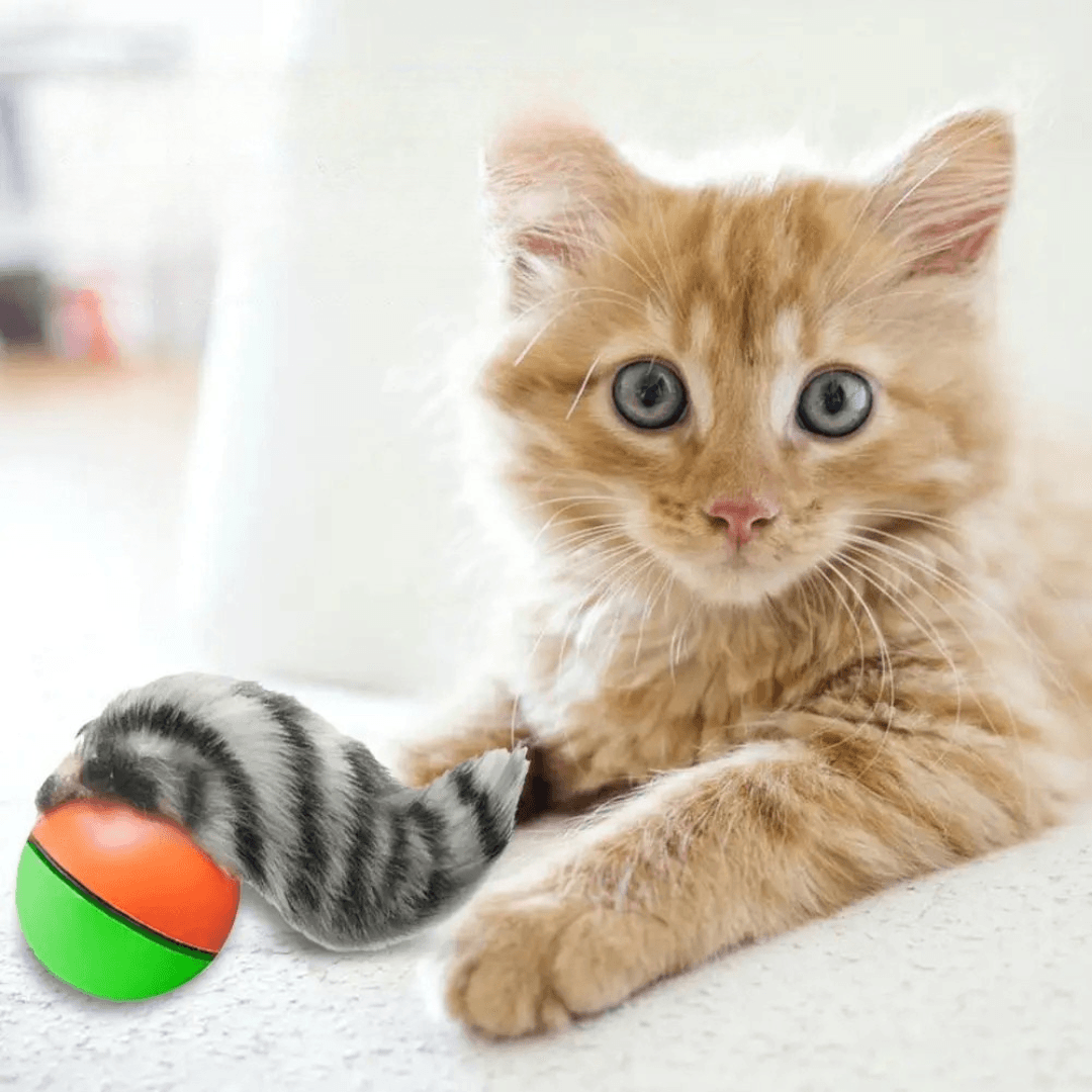 WeBall - Biegająca i skacząca fretka dla kotka