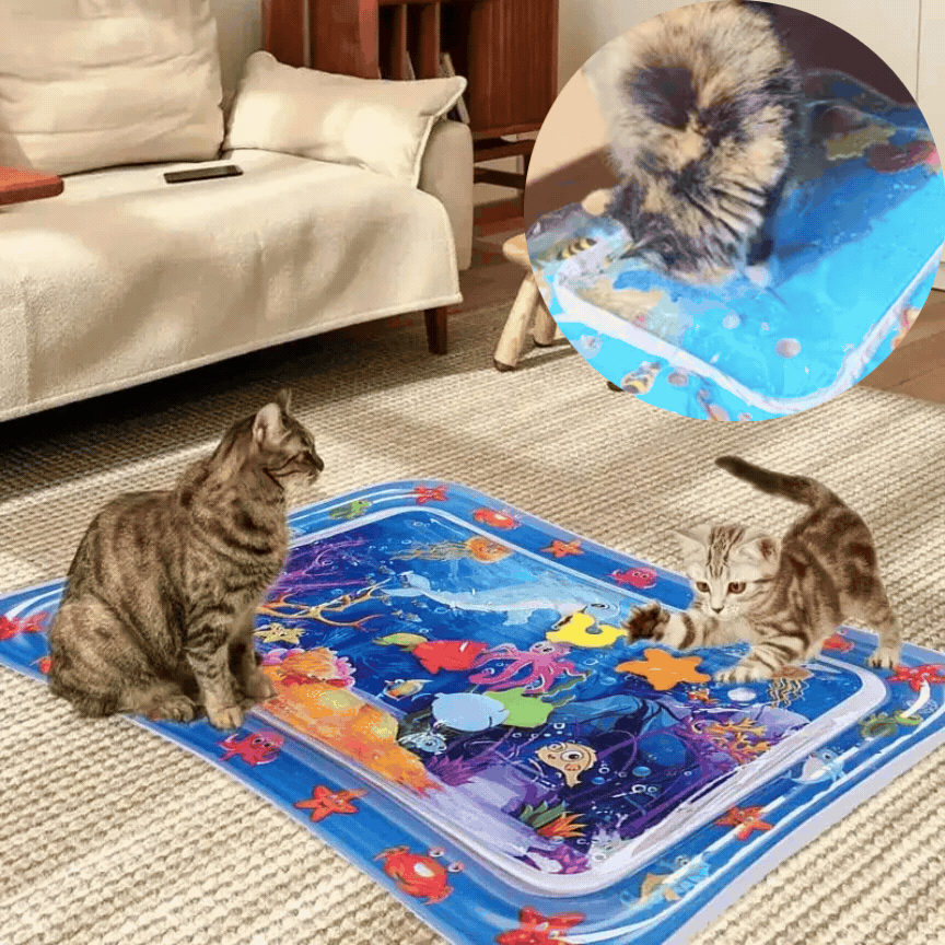 AquaCool - mata chłodząca dla kotka