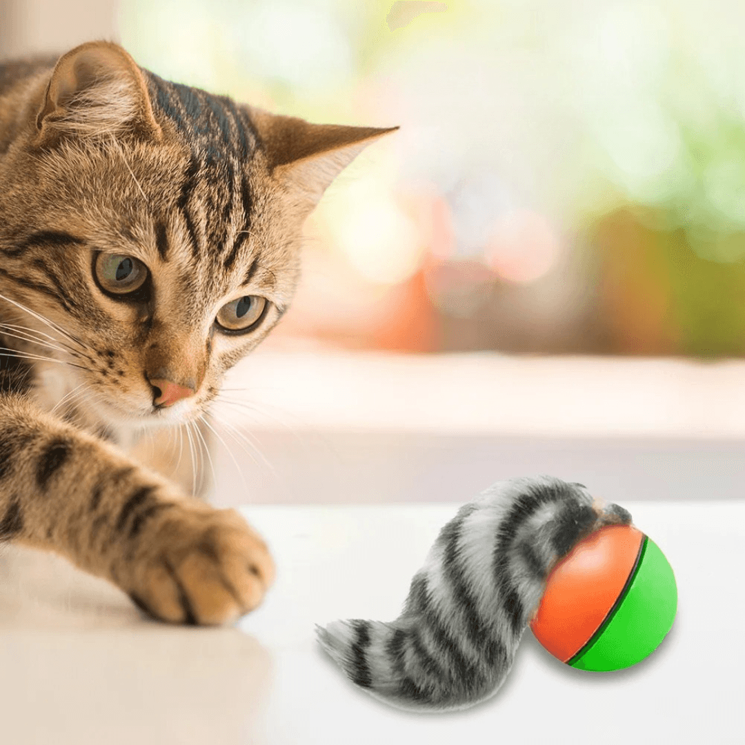 WeBall - Biegająca i skacząca fretka dla kotka